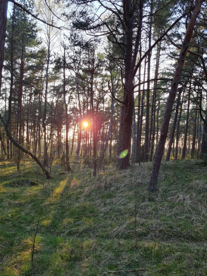 Juros Sentimentai Mano Jura2 Lägenhet Palanga Exteriör bild